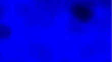 jaipicom_floral.png InvertGBRBlue