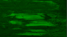 jaipicom_grungy.png GrayscaleGreen
