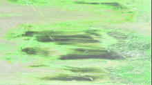 jaipicom_grungy.png InvertGBR