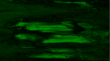 jaipicom_grungy.png SwapRGBGreen