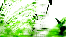 jaipicom_purple.png InvertBGR