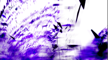 jaipicom_purple.png InvertBRG