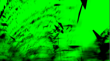 jaipicom_purple.png InvertGBRGreen