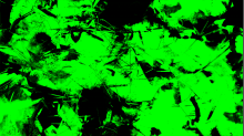 jaipicom_subtract.png InvertBGRGreen