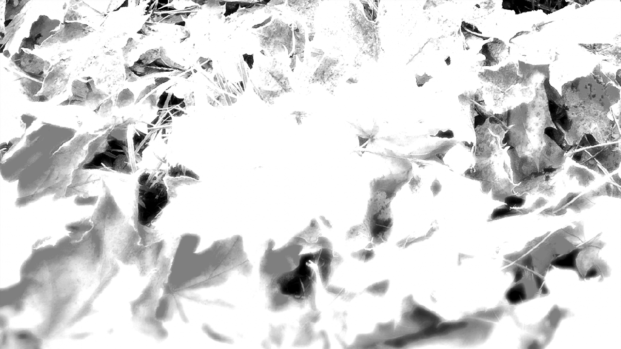alpha-source.png