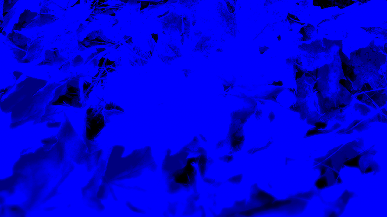 alpha-source.png