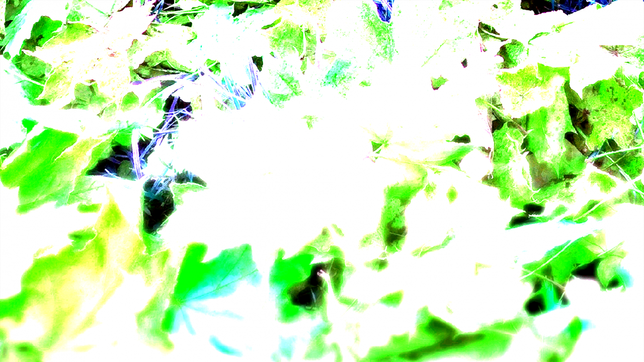 alpha-source.png