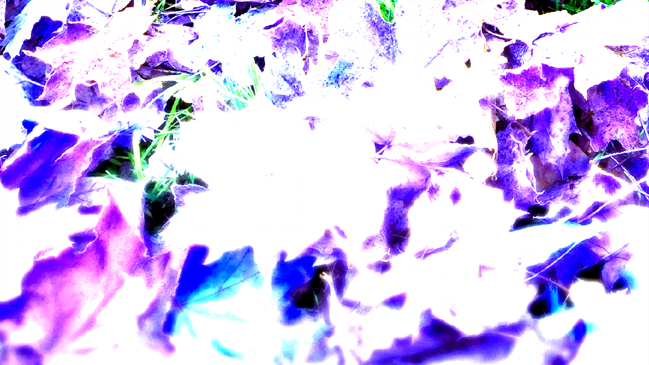 alpha-source.png