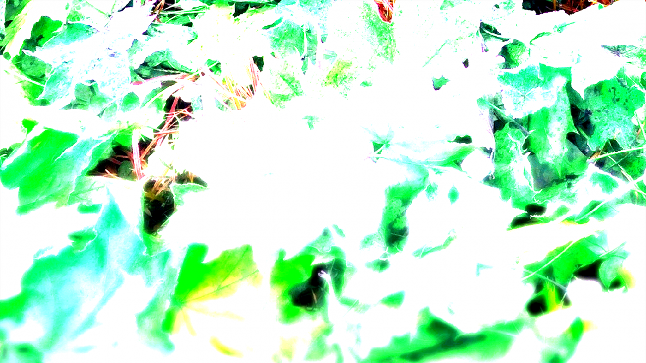 alpha-source.png