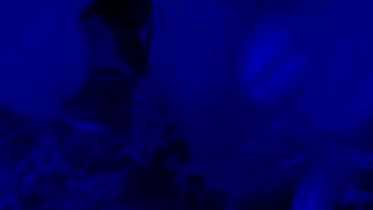 element.png