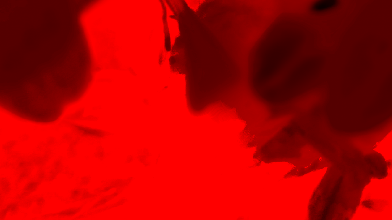 element.png