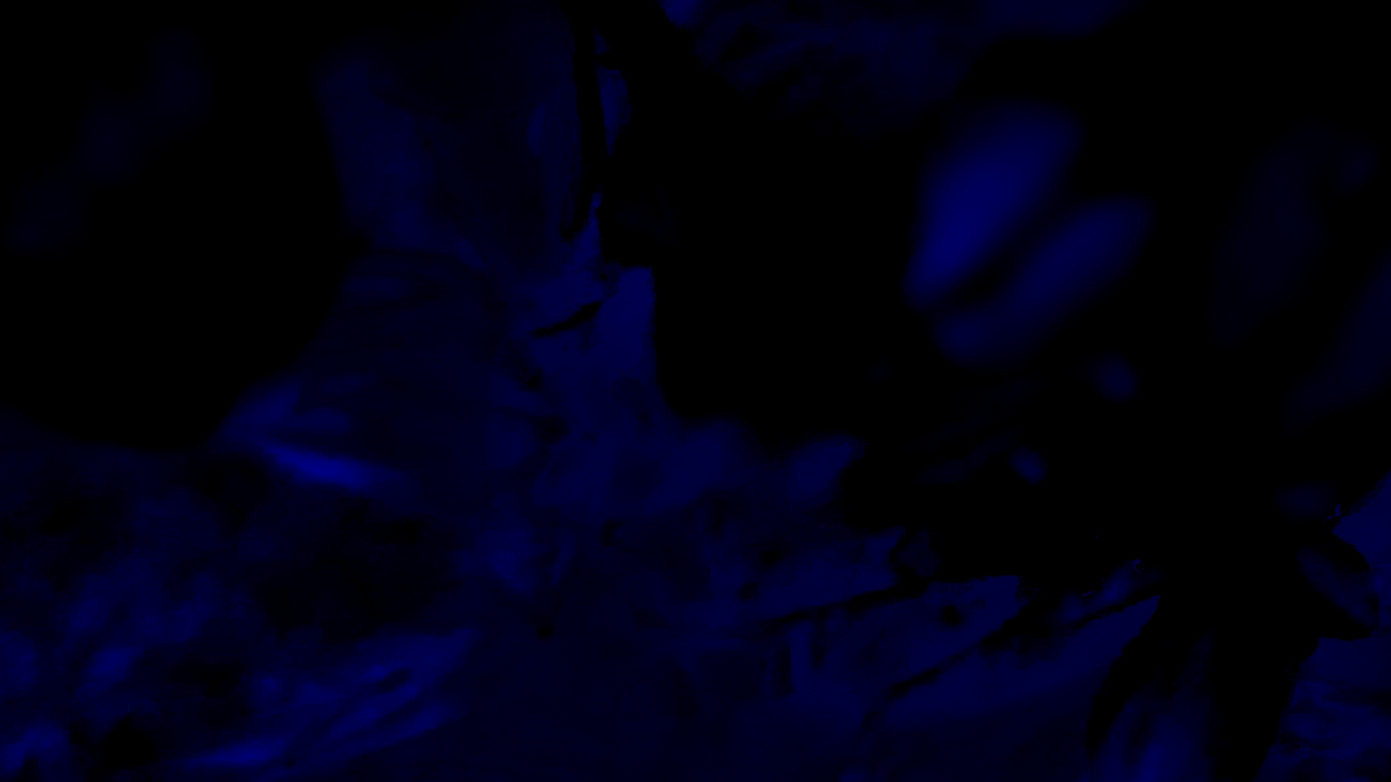 element.png